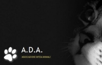 Due maremmani da adottare