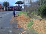 carote_on_the_road_1_lg.jpg