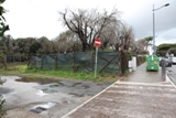 lecci_secchi_lavori_mar10_lgt.jpg