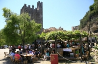 Cantine Aperte 2013