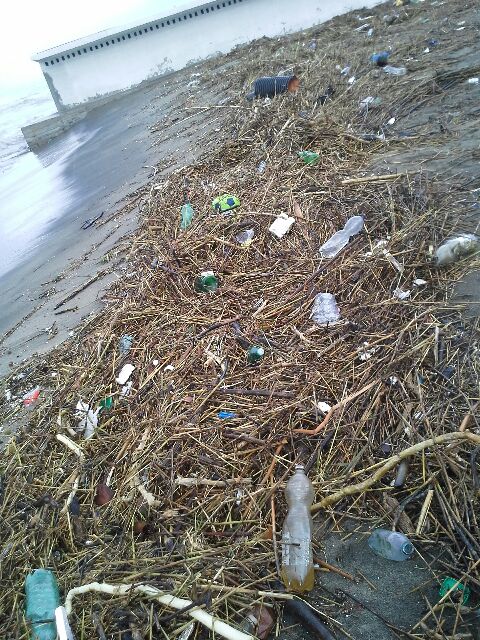 sporcizia spiaggia nov13 md