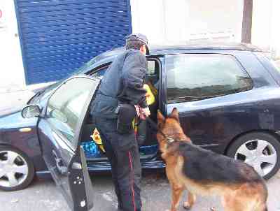 cani_antidroga_carabinieri