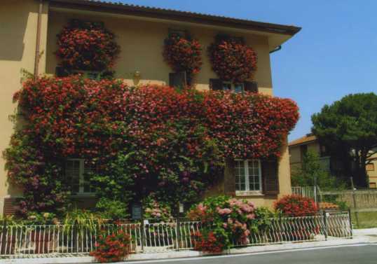 casa_gerani_m_k