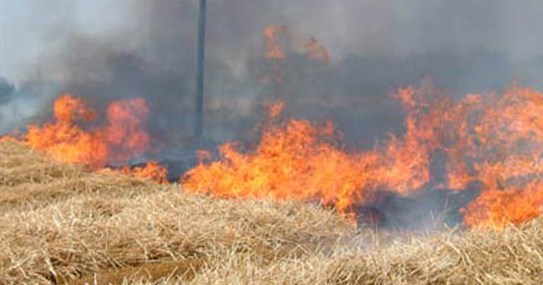 incendio_sterpaglie_m
