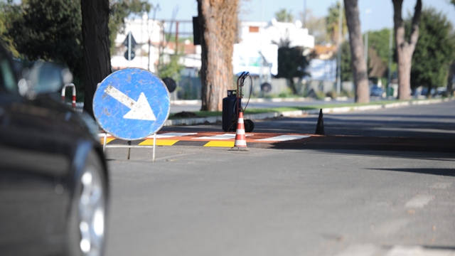 strisce_pedonali_rialzate_v.le_Pineta_pp