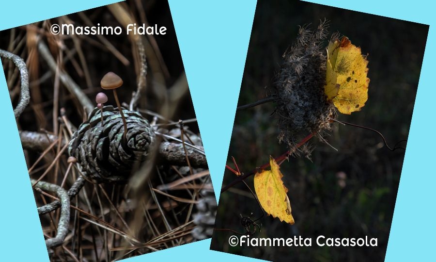 Riflessi a Macchiagrande, i vincitori