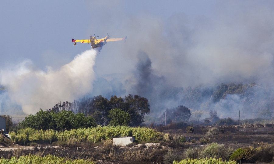 Montino: probabile incendio doloso