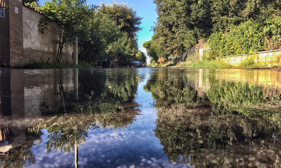 Via la Plaia, l’habitat dei merli