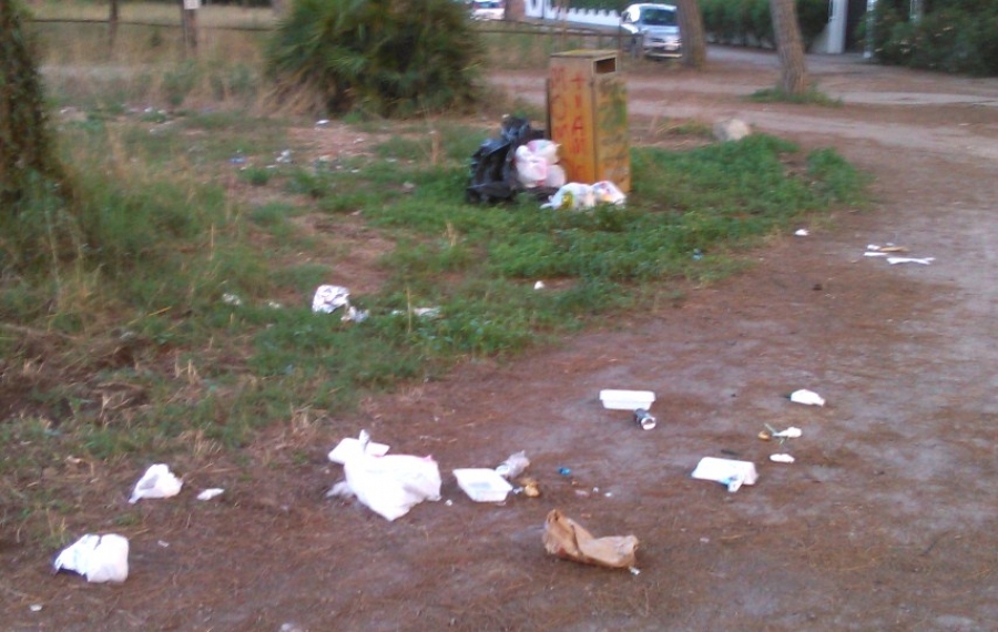 Cestini da parco o cassonetti?