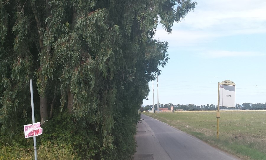 Iniziata la messa in sicurezza di via Campo Salino