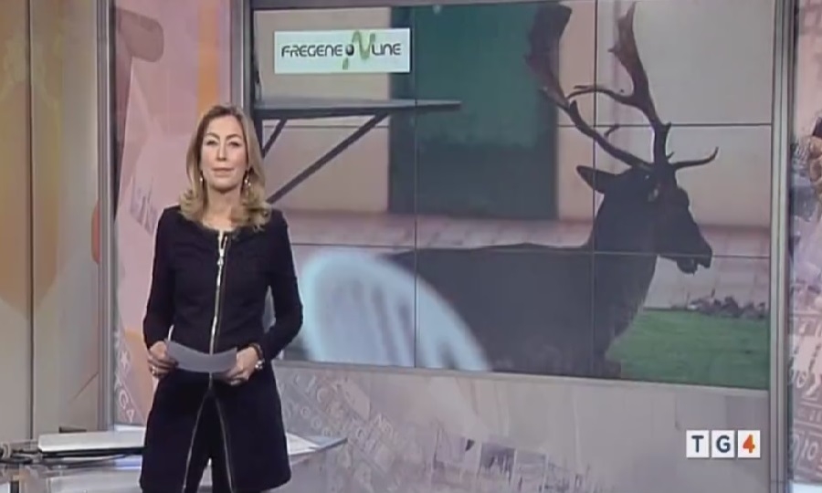 E Pompeo arriva al TG4