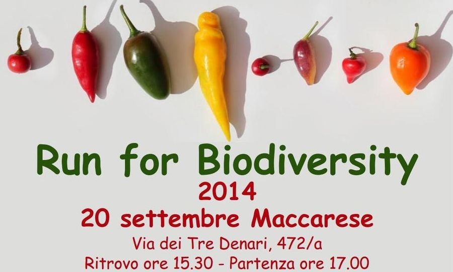 Una corsa per la biodiversità