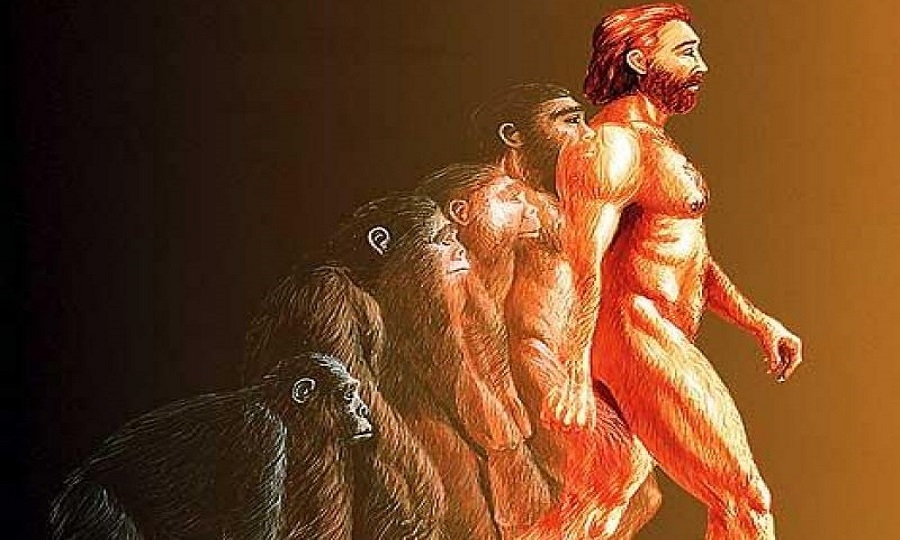 Quo vadis all'Oasi di Macchiagrande