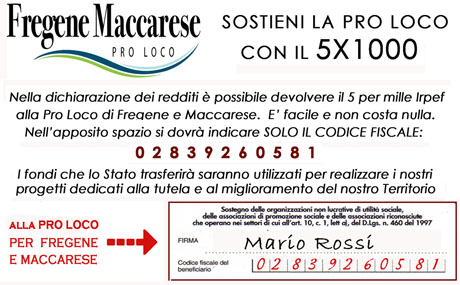 5x100 2016