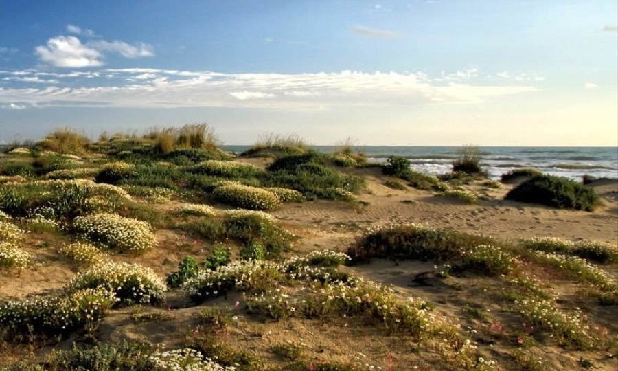 Visite Oasi WWF, la duna di Macchiagrande
