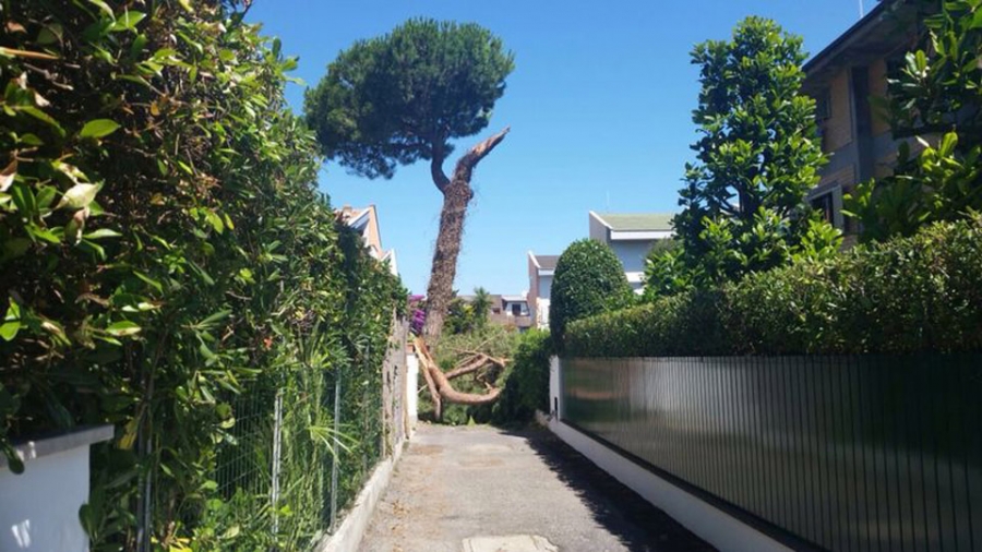 Crolla un ramo, famiglia bloccata in casa