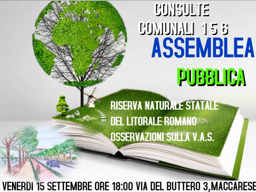 ASSEMBLEA pubblica