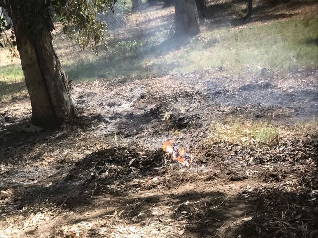 Incendio Parco Avventura 2 k