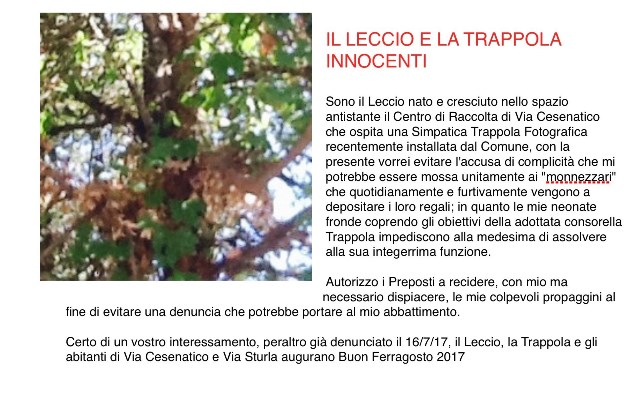 Leccio k