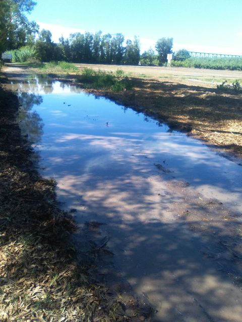 liquami-viale-tirrenia-1-k