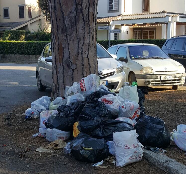 Rifiuti via Procchio