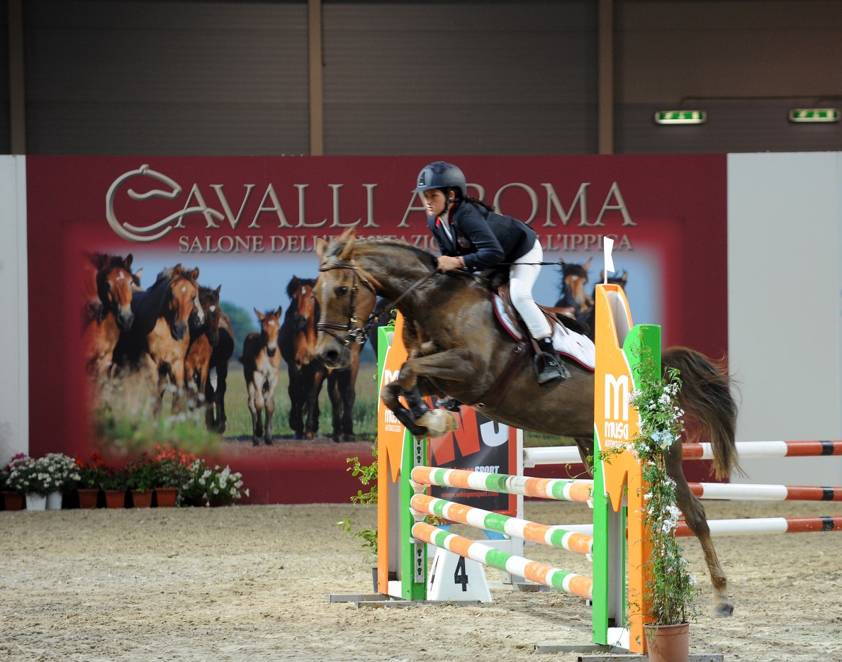 Roma cavalli 2016 foto web