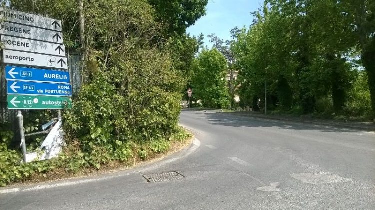 Siepe incrocio viale Maria