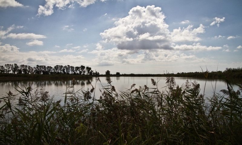 Il weekend del 25 aprile nelle oasi WWF