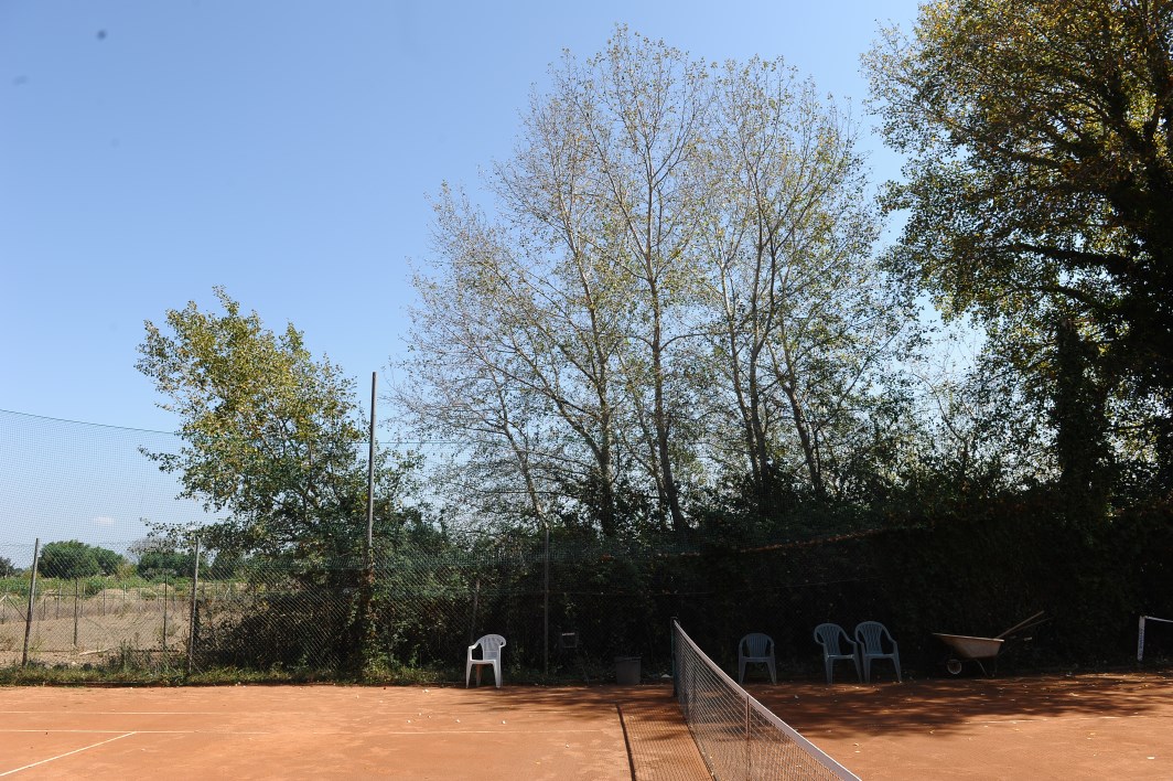 alberi spogliati ok