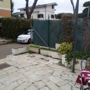 albero-rubato-foto