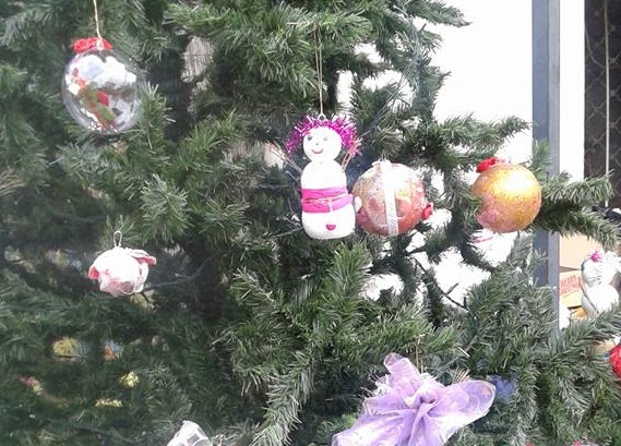 albero-rubato-foto-ok