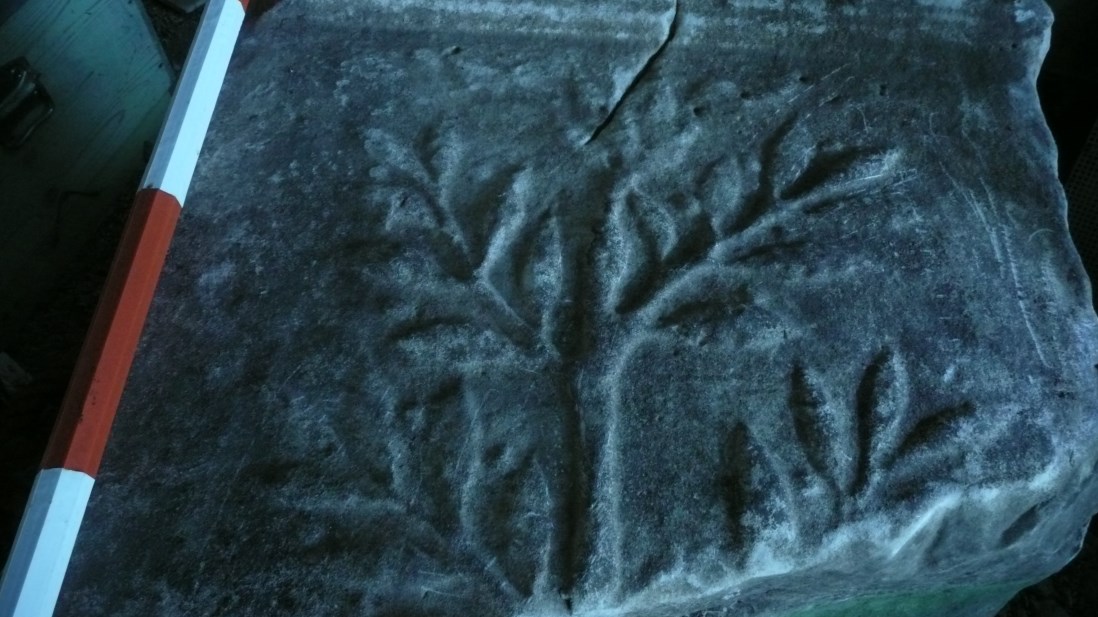 ara romana web