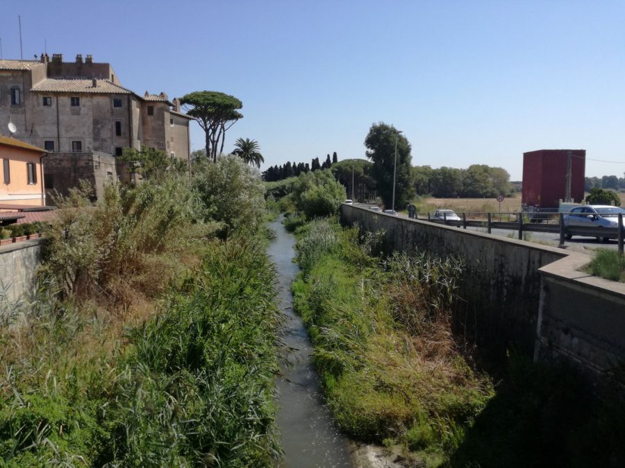 arrone agosto 17