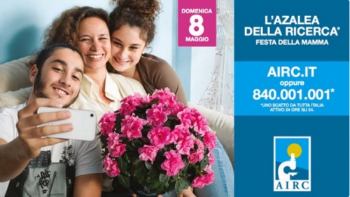 azalee 8 maggio