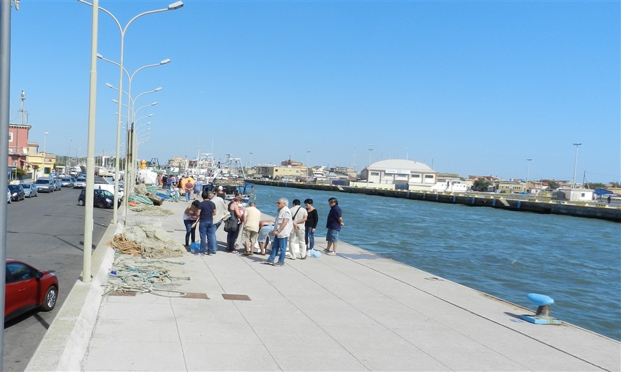 banchina pesce 1 (900 x 540)