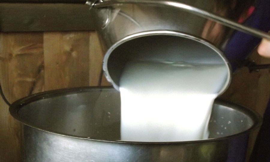 Il Latte, un insostituibile alimento naturale