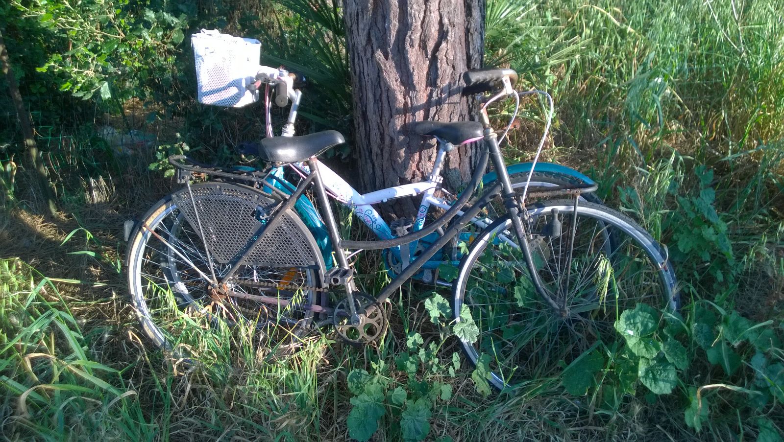 biciclette