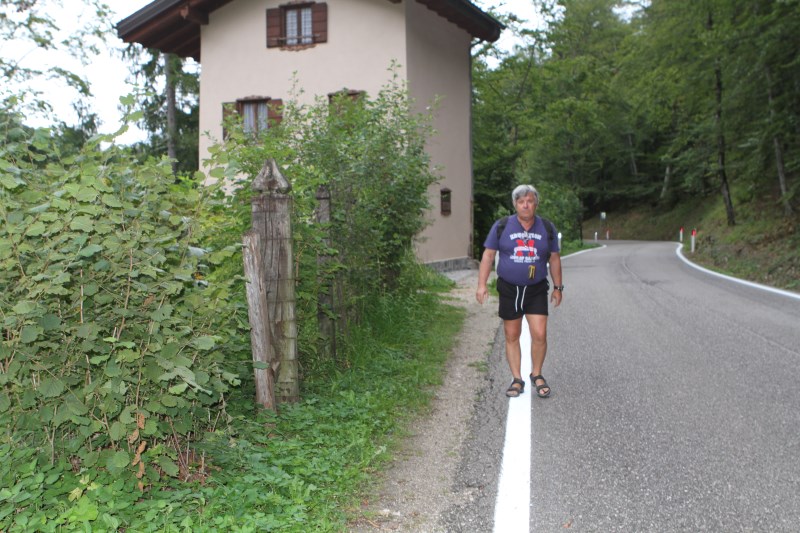 bortolin trento ok