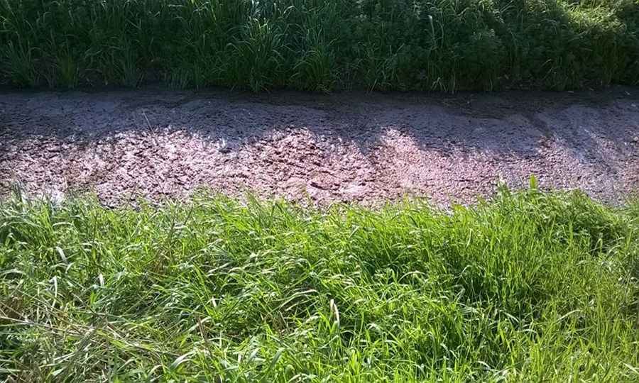 Il canale dei liquami