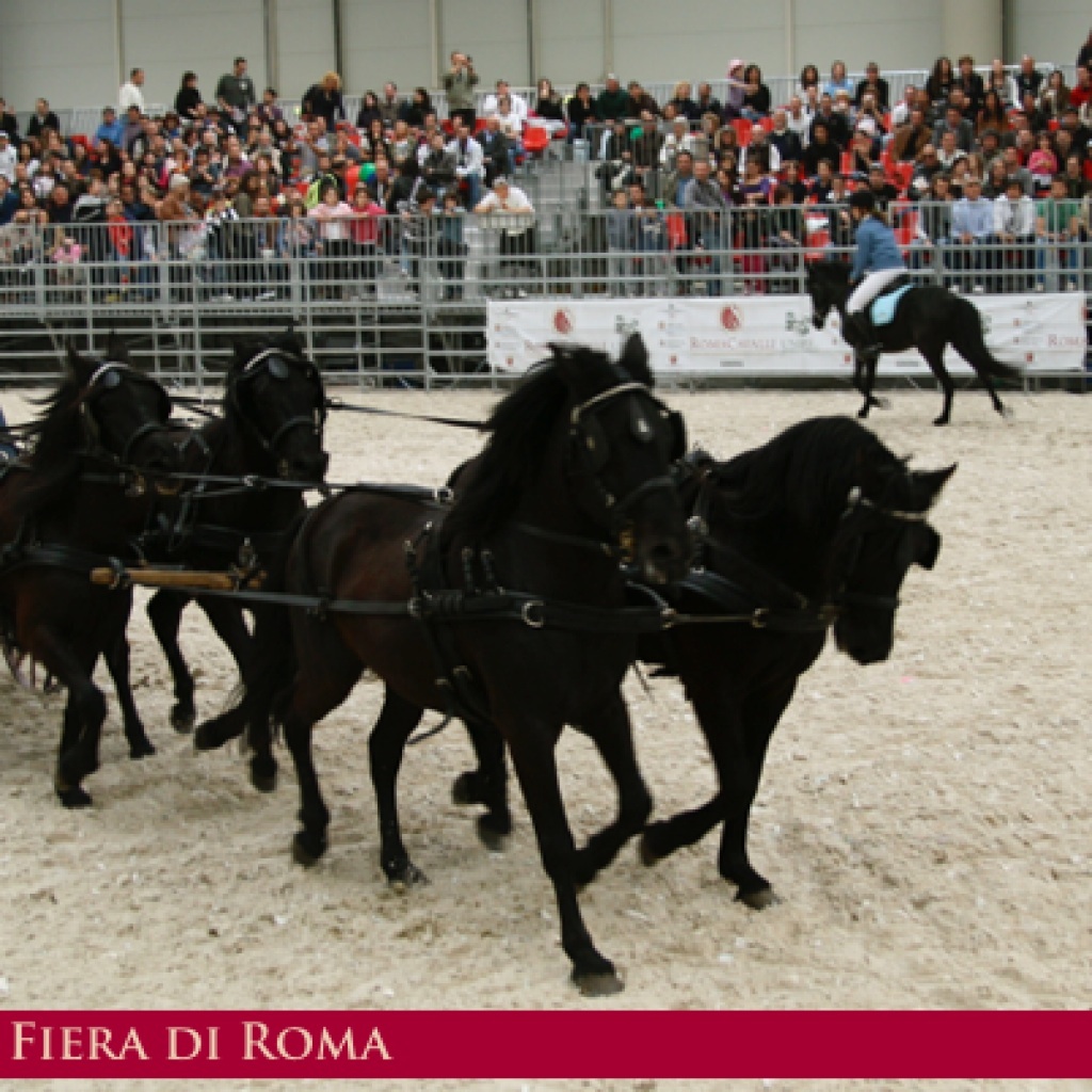 cavalli-a-roma-1024x1024