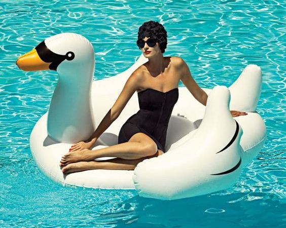 cigno bordopiscina