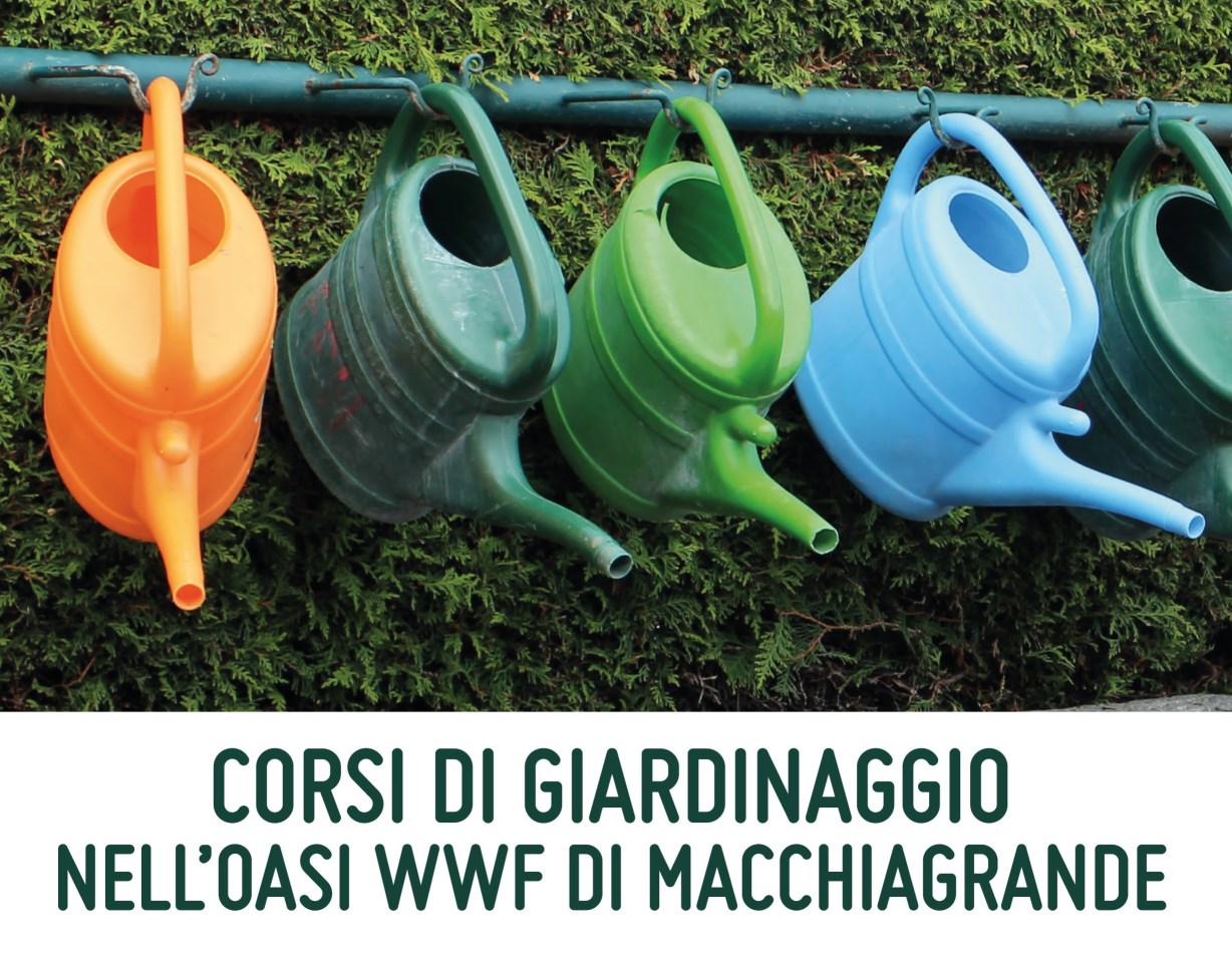 corso giardinaggio web