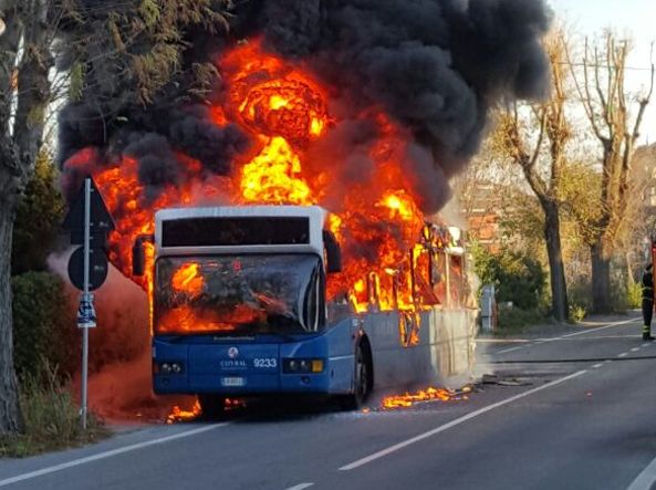 cotral fuoco