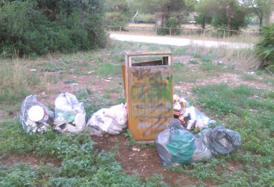 Il cassonetto della pineta
