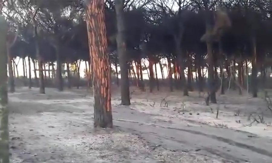 Un inferno che si poteva evitare