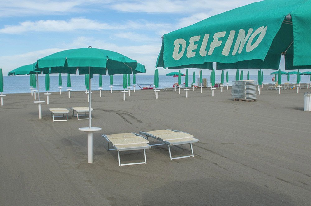 delfino copertina