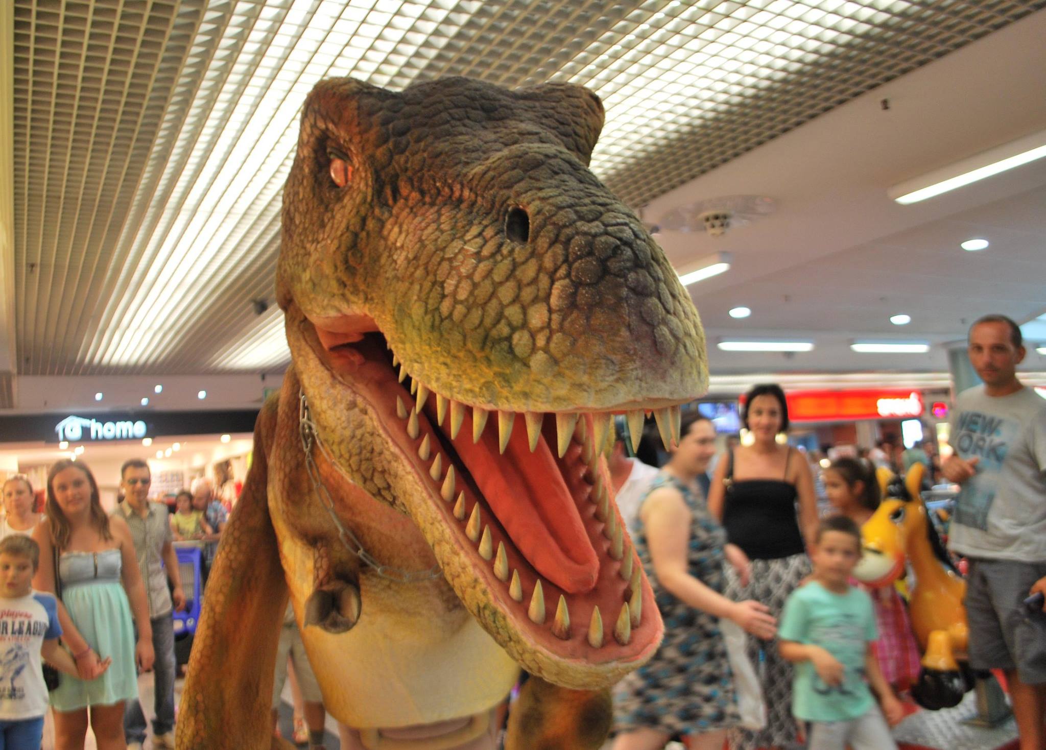 dinosauro