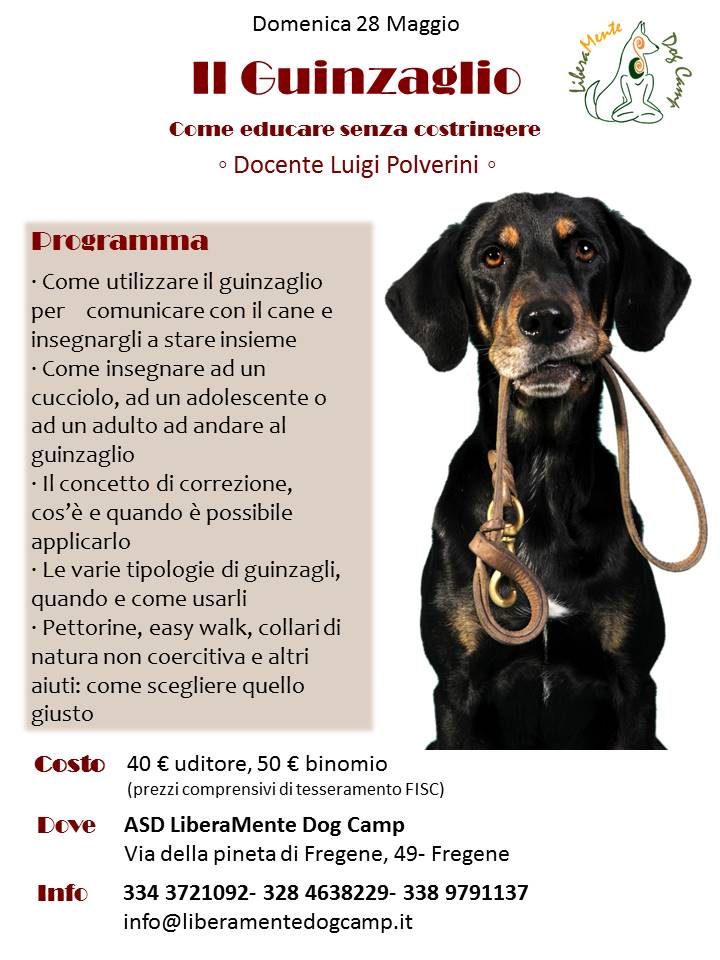 evento Liberamente Dog Camp