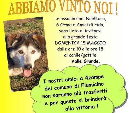 festa-canile-di-Valle-Grande-cani-gatti-maggio-trasferimento-Caserta-bando