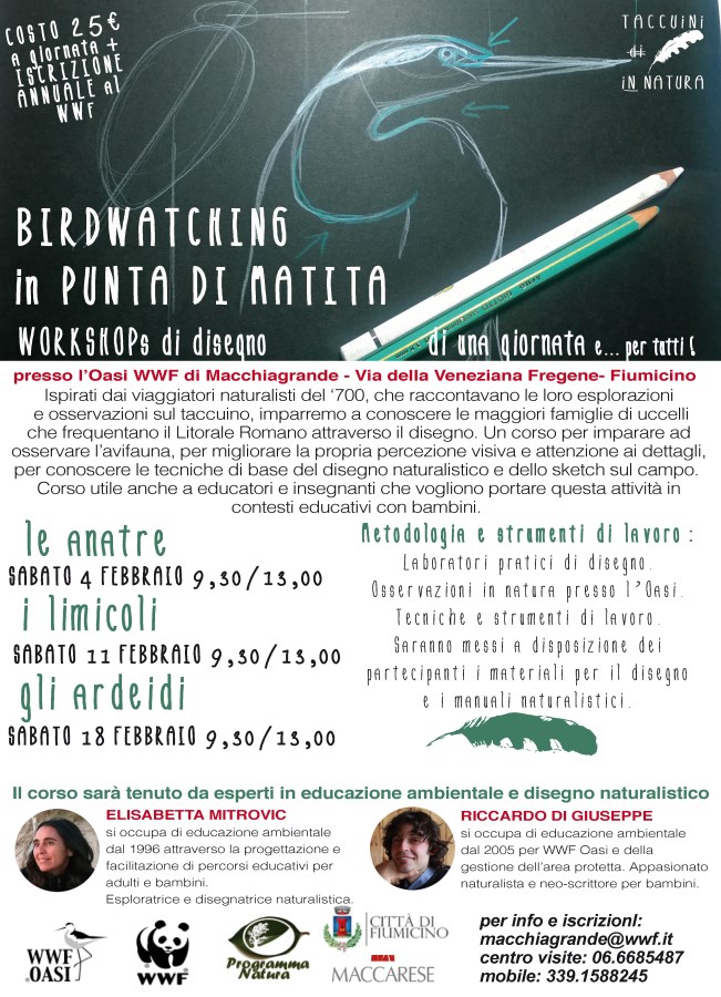 locandina birdwatching ok